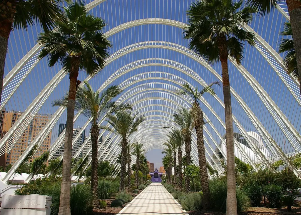MSC, CMA CGM, DP World and PSA International were all favourites of Mr Boluda's (image is of the city of Valencia) Photo: jpedroza2k/Pixabay/Pixabay License