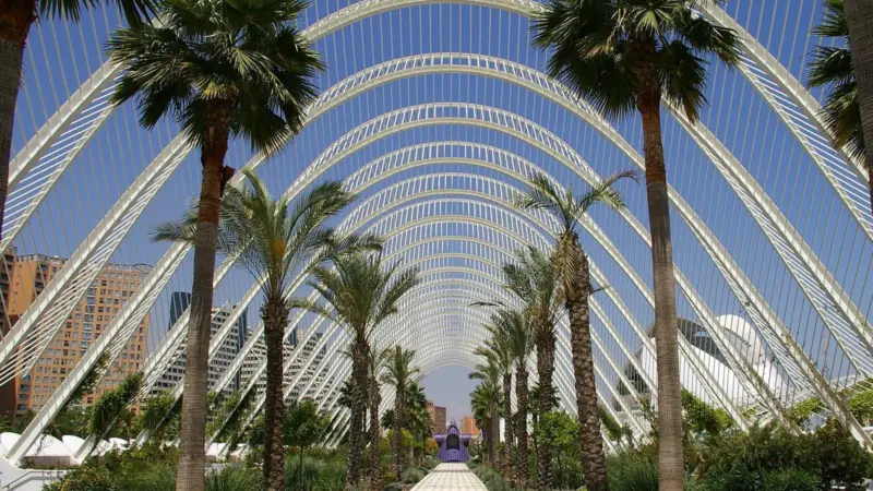 MSC, CMA CGM, DP World and PSA International were all favourites of Mr Boluda's (image is of the city of Valencia) Photo: jpedroza2k/Pixabay/Pixabay License