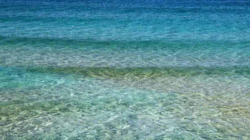 ocean