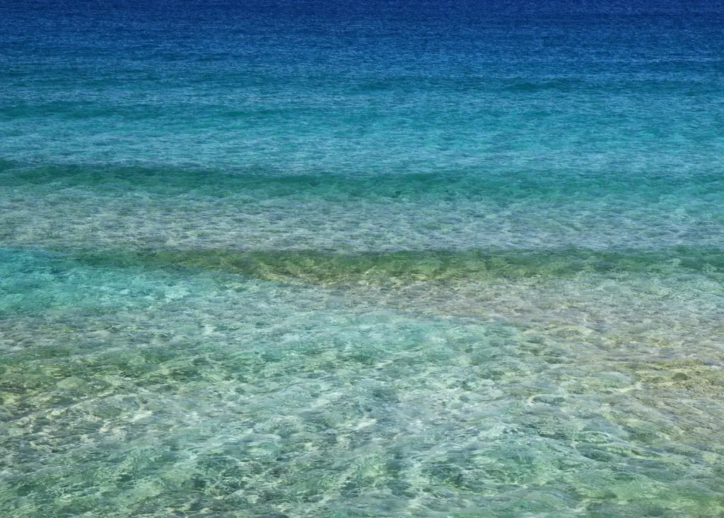 ocean