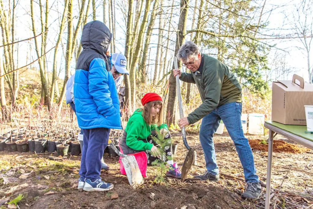 Port of Seattle commissioner Fred Felleman gets stuck in with a community tree planting work party. Credit: Port of Seattle