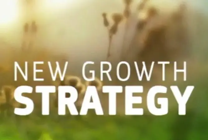 New Growth Strategy