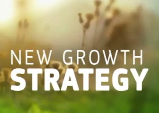 New Growth Strategy
