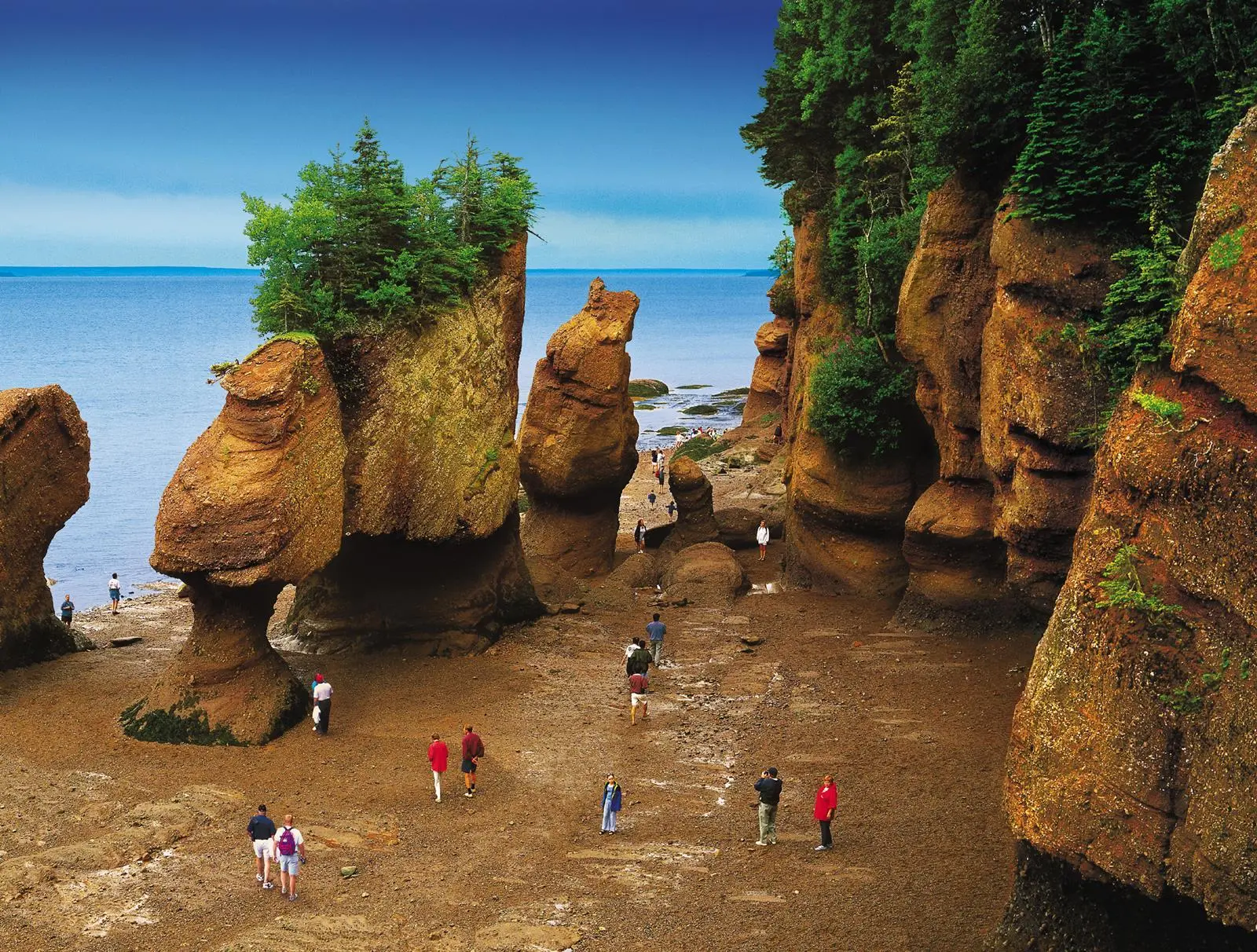 Tourists explore Hopewell Rocks at low tide