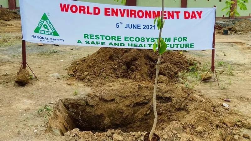 JNPT tree planting