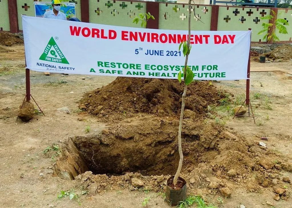 JNPT tree planting