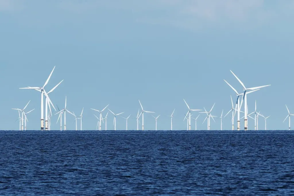 Floating offshore wind