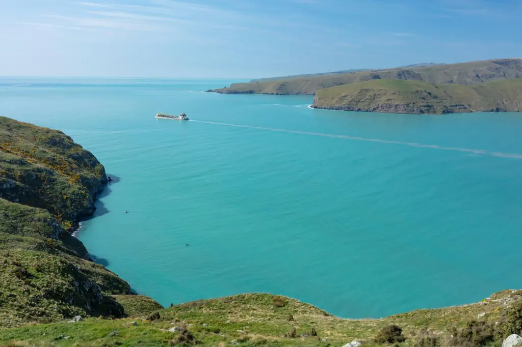The dredge Albratros at work in Lyttelton Harbour