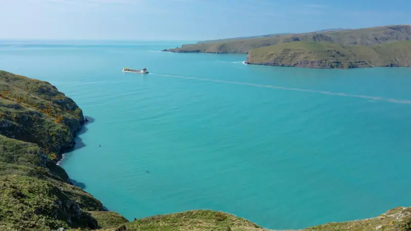 The dredge Albratros at work in Lyttelton Harbour