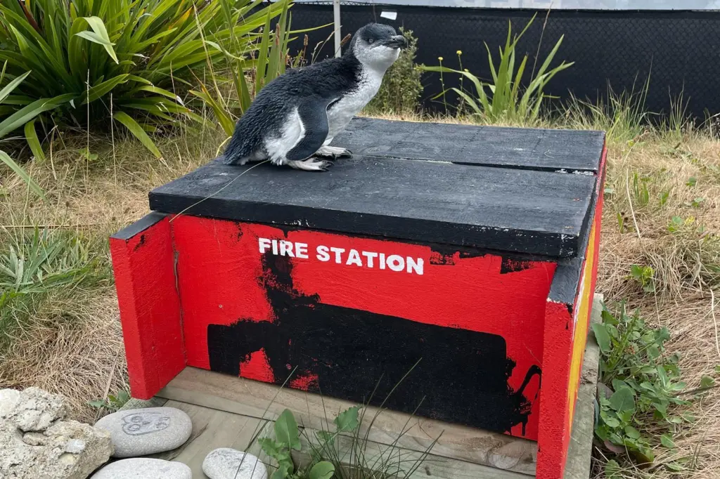 A Little Blue Penguin staking claim to a nesting box painted as a fire brigade station