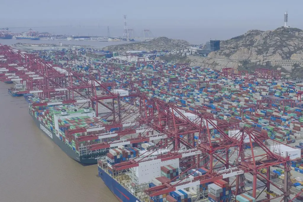 Shanghai Port
