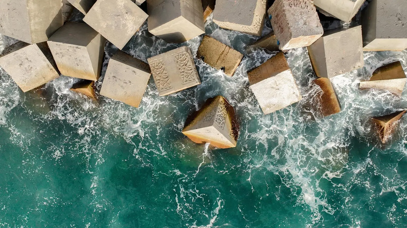 The bio-enhancing features of the concrete enables diverse marine ecosystems to flourish, which in turn strengthens the concrete infrastructure