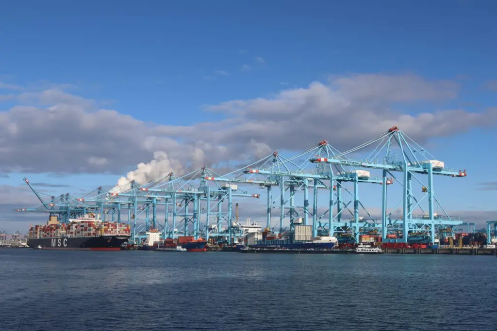 MSC ship at the Port of Rotterdam