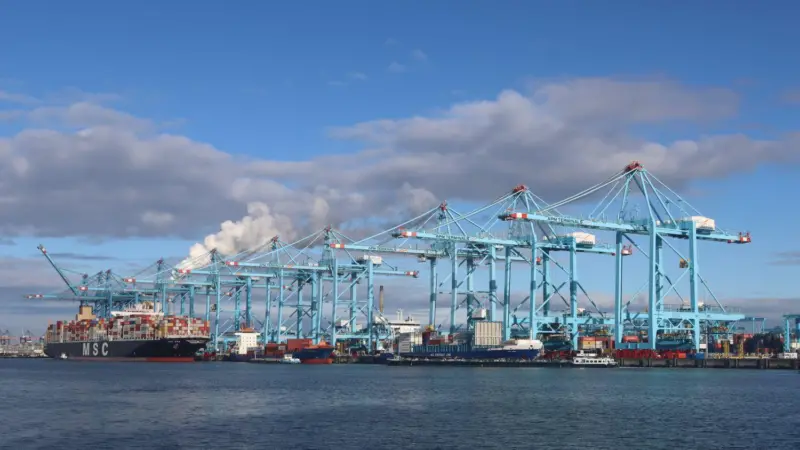 MSC ship at the Port of Rotterdam