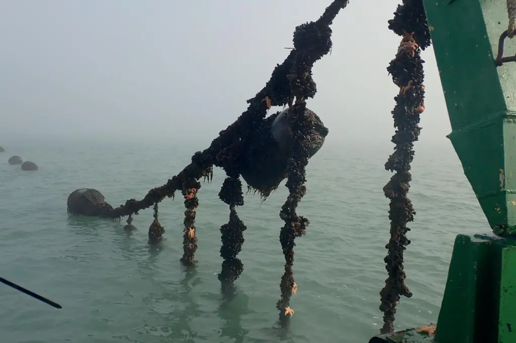 The Coastbusters research project