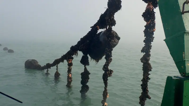 The Coastbusters research project