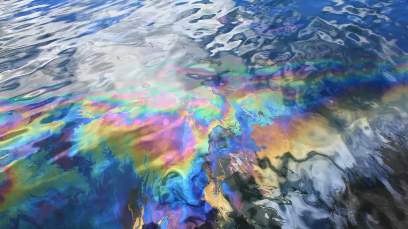 Oil spill in a harbour