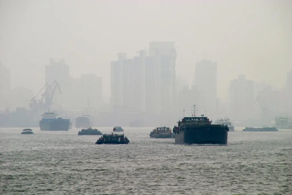 Shipping in Shanghai