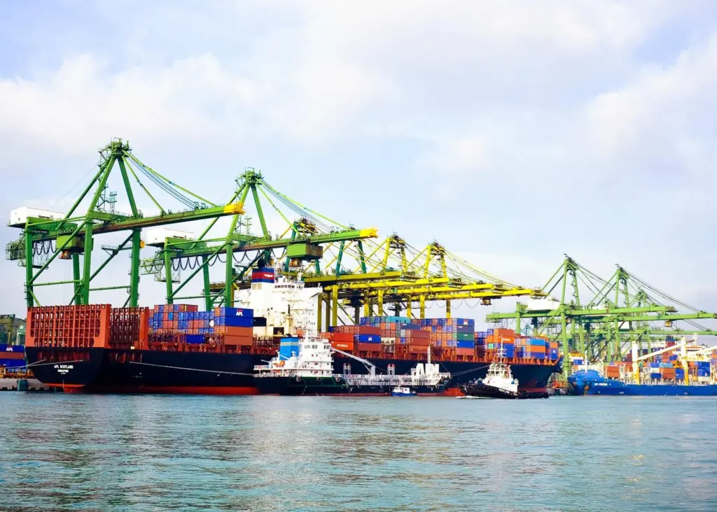Port of Singapore with cargo ships and cranes behind
