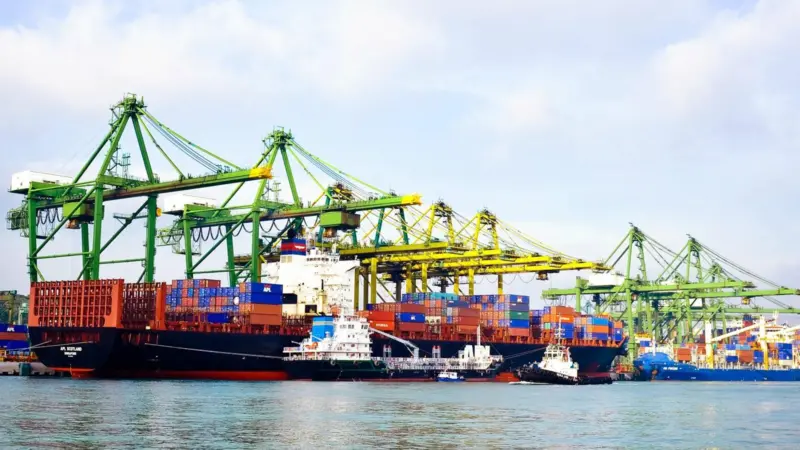 Port of Singapore with cargo ships and cranes behind