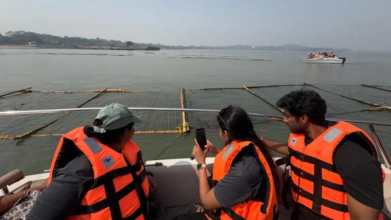An image showing the seaweed cultivation units established in Raigad, India