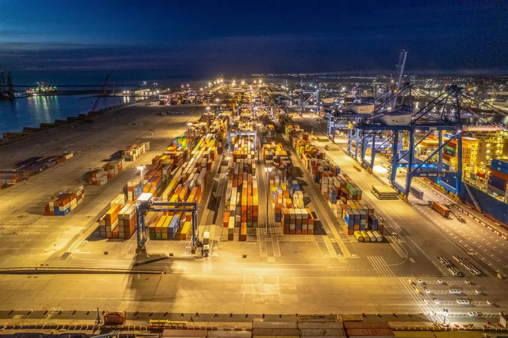 A shot of the Constanța South Container Terminal by night