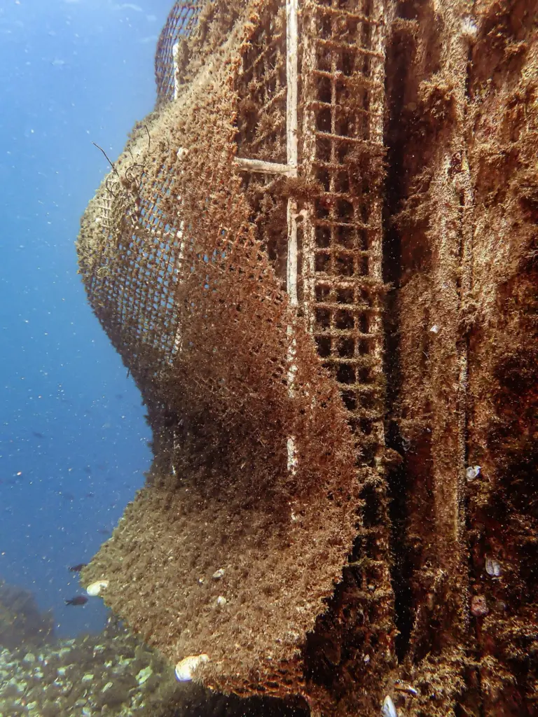 Ocean Ecostructures life boosting unit