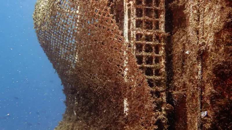 Ocean Ecostructures life boosting unit