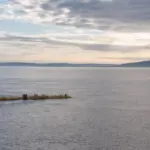tidal array