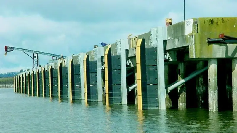 A third of the construction costs sunk below the surface
