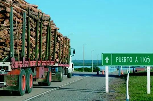 Trucks loaded with trunks from eucalyptus plantations arrive at the new MBopicua port