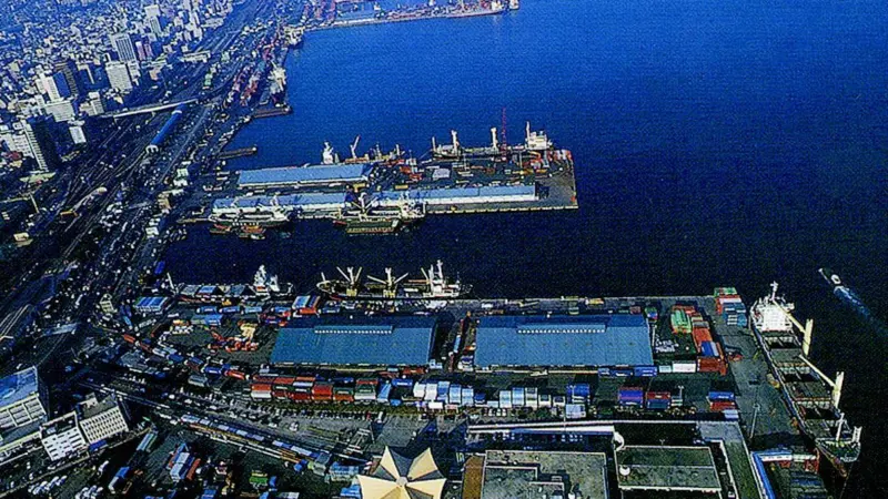 Busan: 42% transhipment traffic
