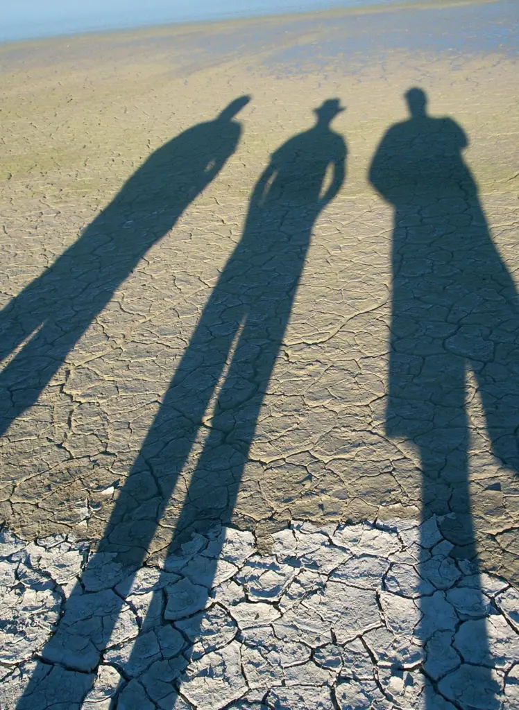 00_93008_Shadows