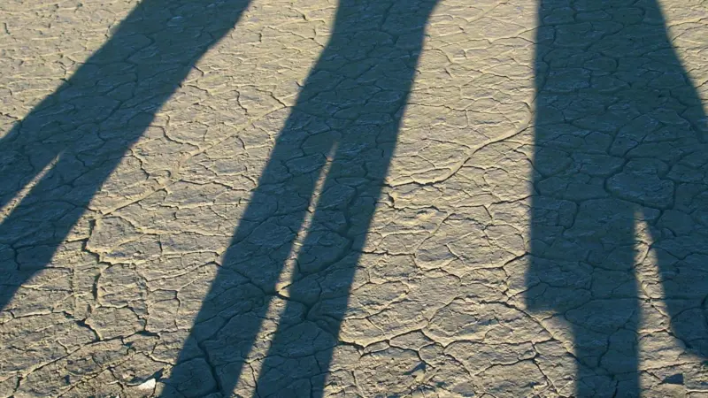 00_93008_Shadows