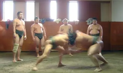 00_93009_Sumo