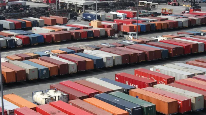 Port Strategy: Box volumes to continue to grow this year