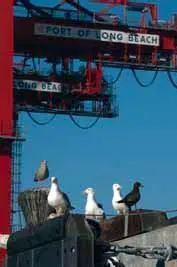 The $5 million grant applies to Long Beach’s RTGs