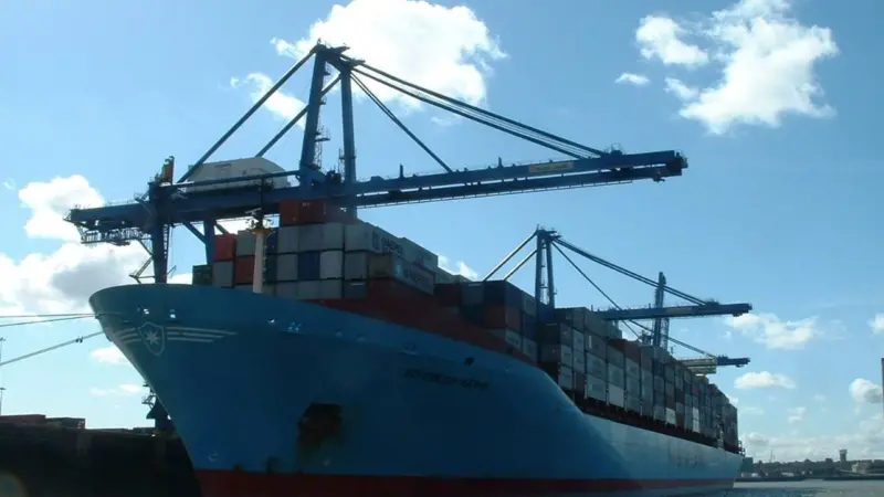 Port Strategy: Tilbury's largest caller was a good omen for a record 2007