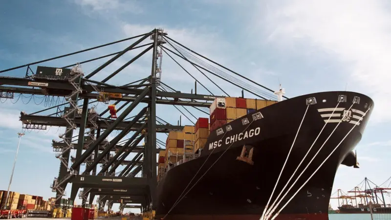 Port Strategy: The lines' split from Marítima Valenciana is amicable