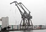 LivCranes-1
