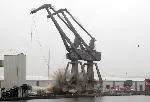 LivCranes-2
