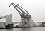 LivCranes-3