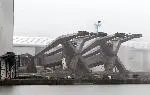 LivCranes-5