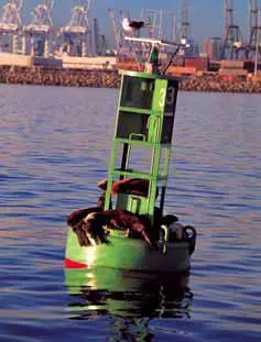 Port of Long Beach