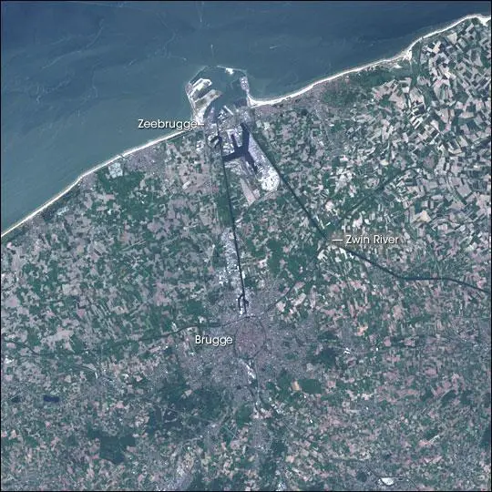 Port Strategy: Port of Zeebrugge