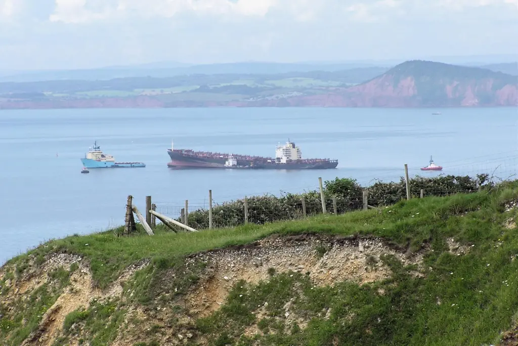 Port Strategy: Structural issues on ships like the MSC Napoli could have far-reaching implications for ports