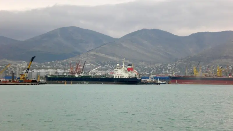 Port Strategy: Novorossiysk will be able to handle grain ships much faster than had previously been possible
