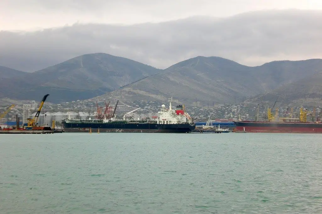 Port Strategy: Novorossiysk will be able to handle grain ships much faster than had previously been possible