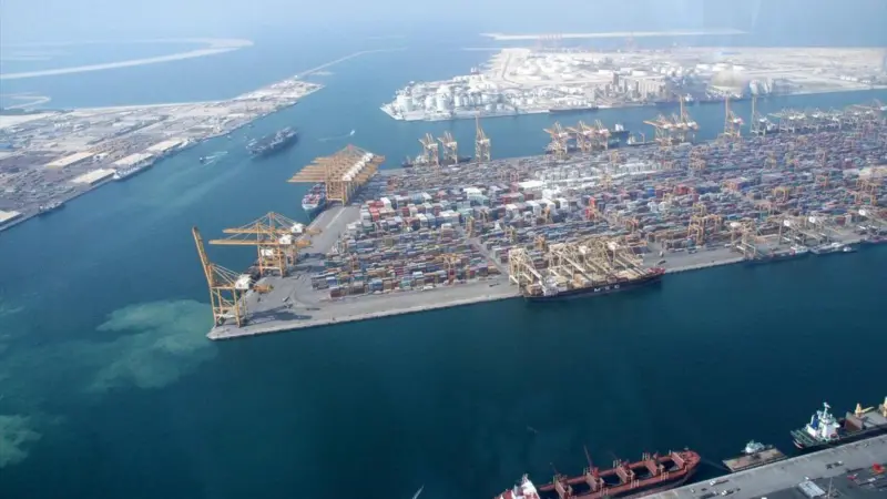 Port Strategy: DP World's flagship port has tackled congestion head on