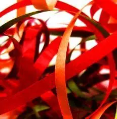 00_94972_red_tape1_pic